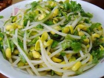 清炒黄豆芽