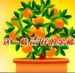 送你一株吉祥的金橘