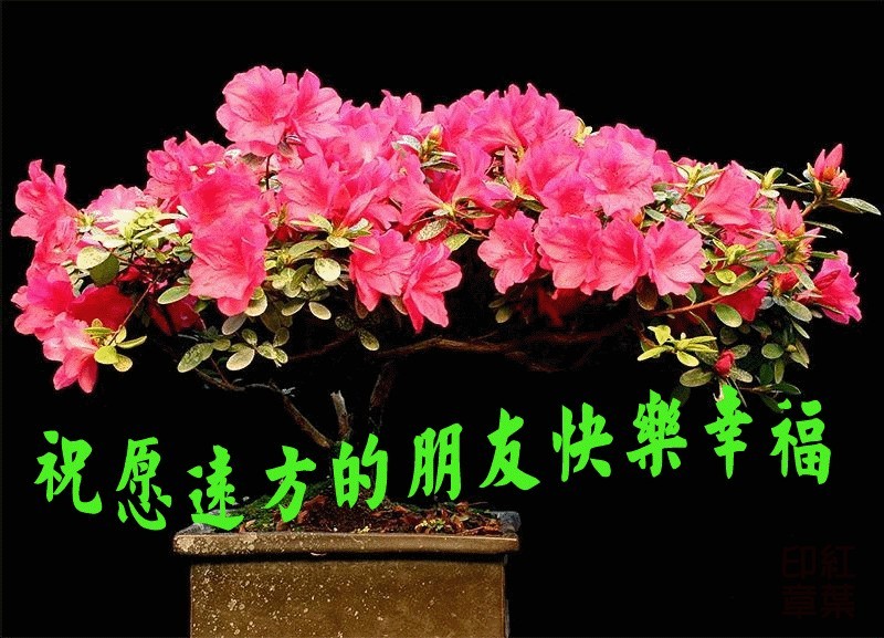 祝愿远方的朋友幸福快乐