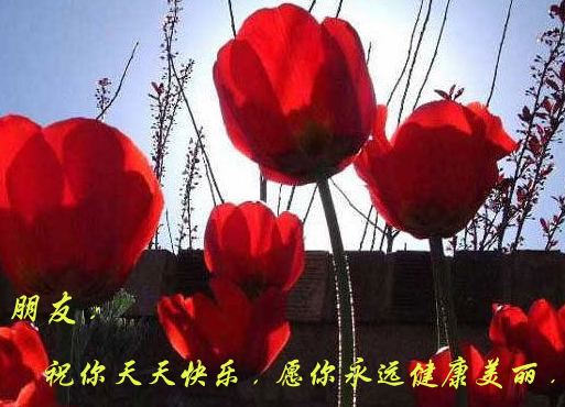 朋友，祝你天天快乐