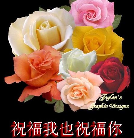 祝福我也祝福你