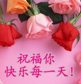 祝福你快乐每一天