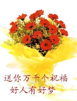 送你千万个祝福，好人有好梦