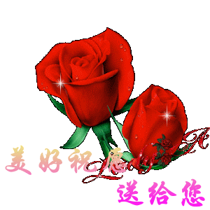 送给你美好的祝愿