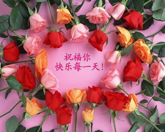 祝福你快乐每天