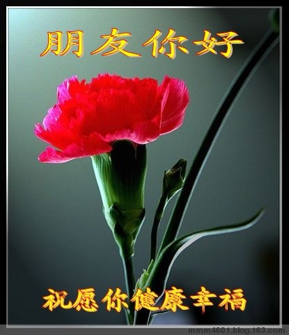 朋友你好，祝你幸福快乐