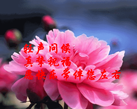 真挚的祝福，愿快乐永远伴你左右