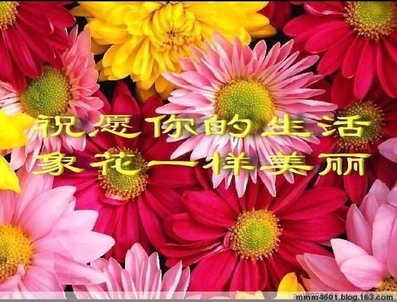 祝愿你的生活像花一样美丽