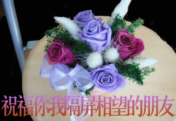 用鲜花祝福与我隔屏相望的朋友