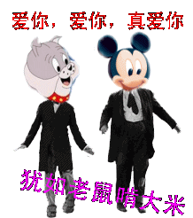 爱你真爱你，犹如老鼠爱大米