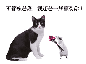 不管你是谁，我都一样的喜欢你