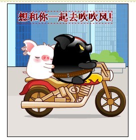 黑猪载着白猪一起去吹吹风