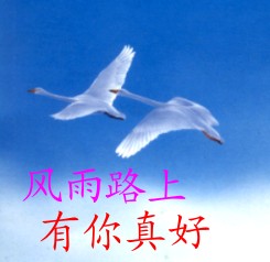 风雨路上有你真好