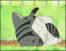 在地上打滚的小猫