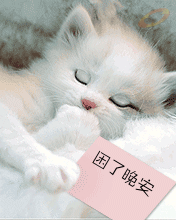 困了睡觉吧，晚安
