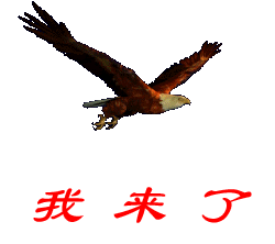 一只老鹰飞来了