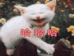 哈哈哈，笑死人了