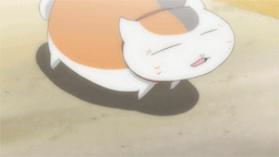 在地上狂跳的猫猫