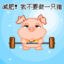 我要减肥，我不要做一只猪