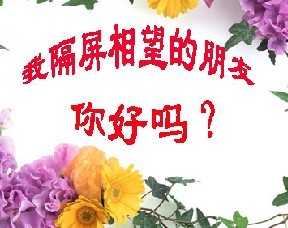 问候我隔屏相望的朋友