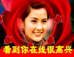 很高兴看到你在线
