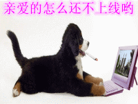 亲爱的你怎么还不上线哟