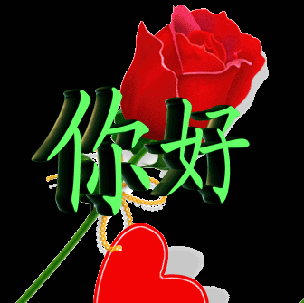 一枝鲜花问候，你好
