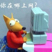 你在哪里上网