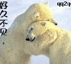 好久不见，抱一抱吧