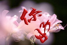 一声亲切简单的问候