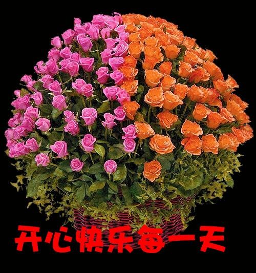 一大盆漂亮的鲜花