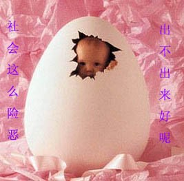 社会这么险恶，我到底出不出来呢