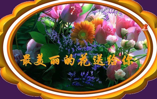 把最美丽的花送给你