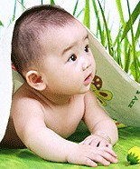 伸个脑袋出来瞧一瞧