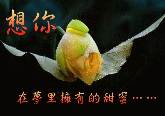 想你，在梦里的甜蜜