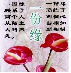 一份缘联系了两个人从陌生到熟悉