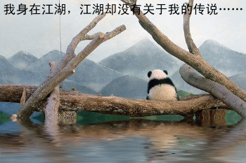 我身在江湖，江湖却没有我的传说
