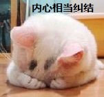 我的内心相当纠结