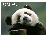 无聊中的熊猫
