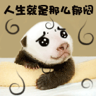 人生就是那么郁闷
