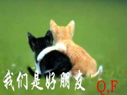 我们是好朋友