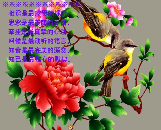 知音是最完美的深交