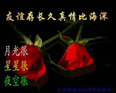 月光很美，比不上朋友的安慰