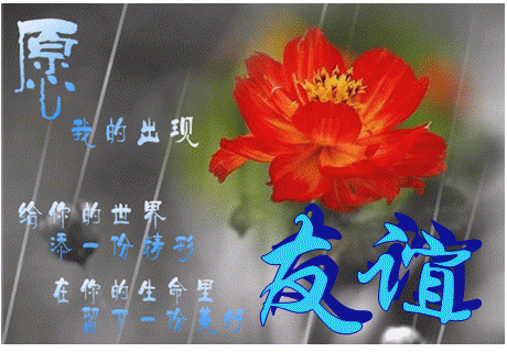 愿你的生活能给你增添一点色彩