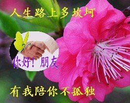 人生道路多坎坷，有我陪你不孤独