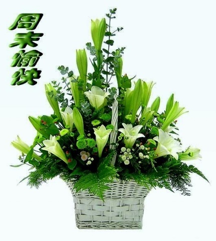 送你一盆百合花，祝周末愉快
