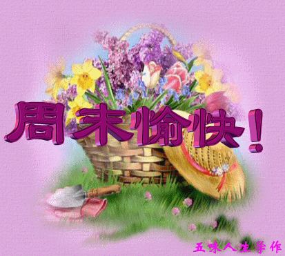 鲜花问候，周末愉快