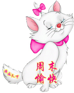 卡通小猫问候，周末愉快