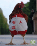 鸡公找人，没人啊