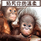 我来掐死你的温柔